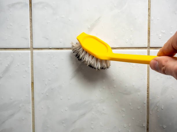 Best Mold Removal Specialists  in Imlay City, MI
