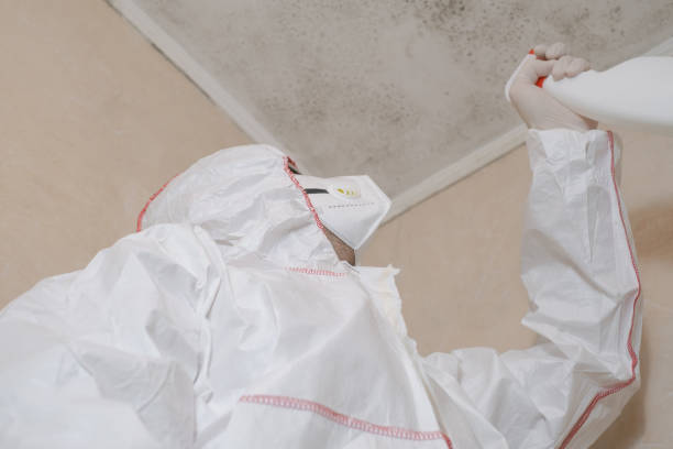 Water Damage Restoration in Imlay City, MI